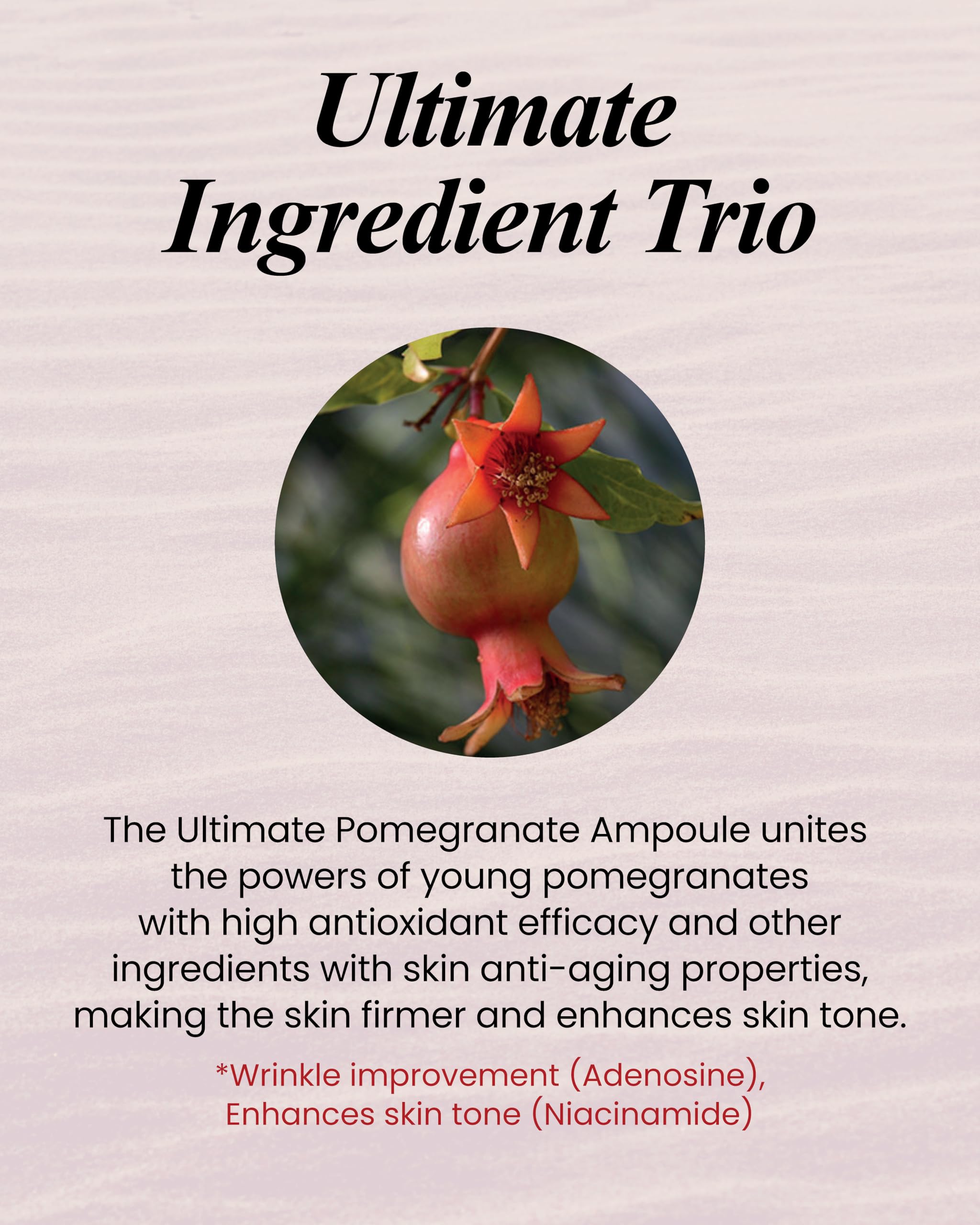Sooryehan Ultimate Pomegranate Ampoule gift Set (55 ml/1.86 fl oz) - Skin Elasticity, Reduced Wrinkles & Skin Tone Improvement by LG Beauty. Collagen, Elastin, Vitamin C, Propolis,