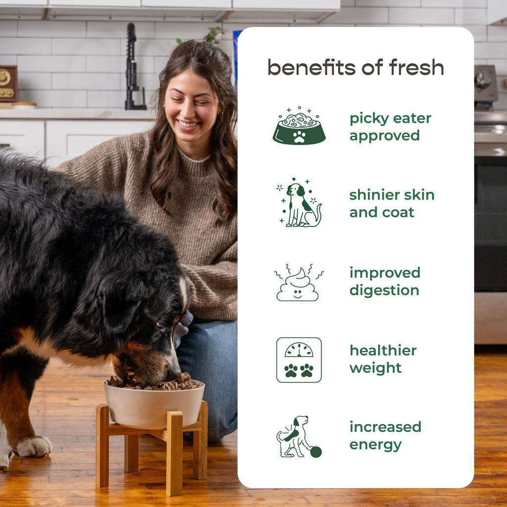 Freshpet Fresh Dog Food, Large Dog Multi-Protein: Chicken, Beef, Egg & Salmon Recipe, 5 lb.