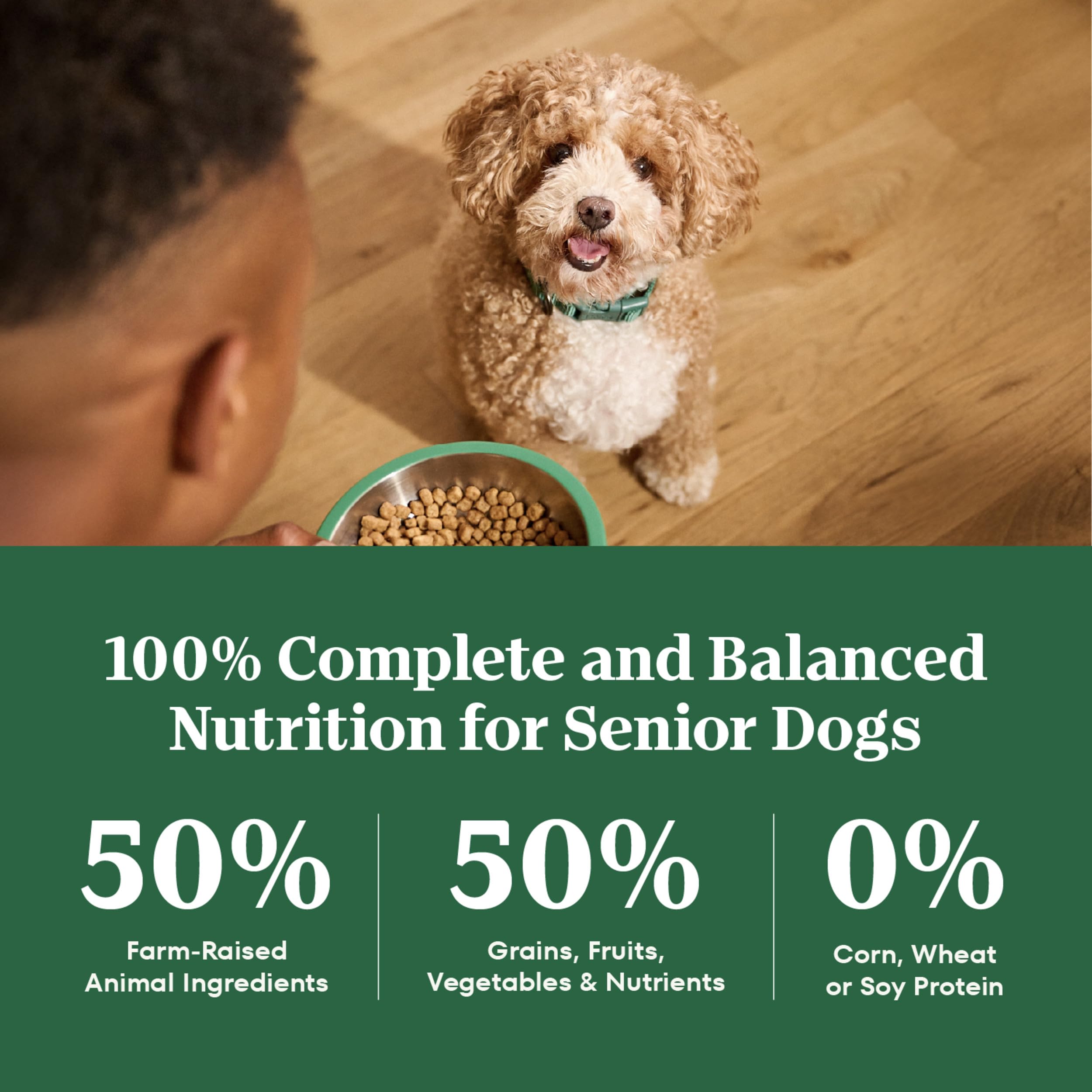Nutro Natural Choice Small Breed Senior Dog Food Dry Chicken & Brown Rice Recipe, Dry Dog Food Small Breed, 5 lb. Bag