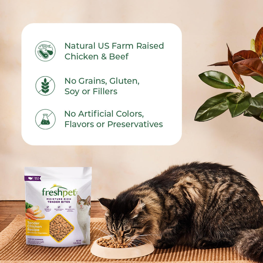Fresh Pet Select Roasted Refrigerated Meals for Cats Chicken With Carrots and Spinach Recipe, 1 lb