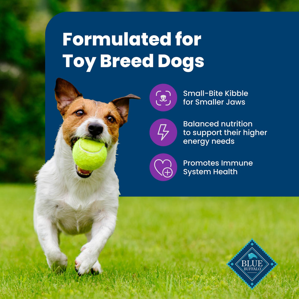 Blue Buffalo Life Protection Formula Toy Breed Adult Dry Dog Food, Supports High Energy Needs, Made with Natural Ingredients, Chicken & Brown Rice Recipe, 4-lb Bag