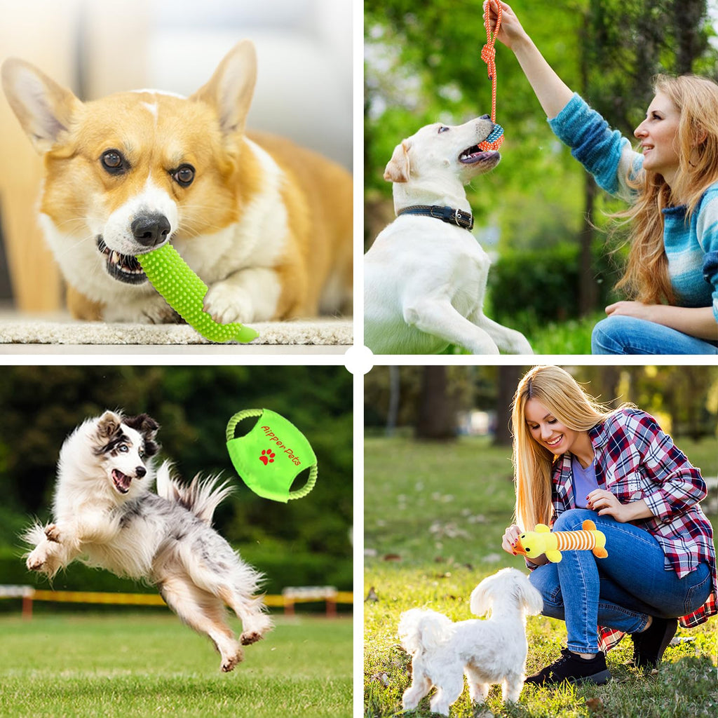 Aipper Dog Toys 25 Pack for Fun and Teeth Cleaning, Puppy Chew Toys Pack with Squeak Plush Toy,Squeaky Toy Balls,Tug of War and Rope Toys for Puppy to Small Dogs