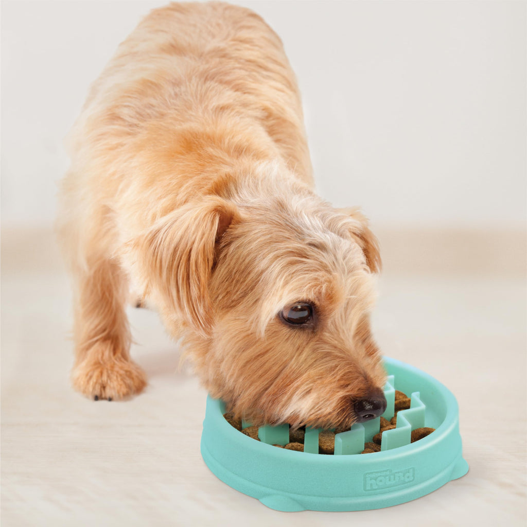 Outward Hound Fun Feeder Slo Bowl – Small 3/4-Cup Capacity, Slow Feeding, Small Dogs, Puppies & Cats, Non-Slip, Mint, Wave Pattern