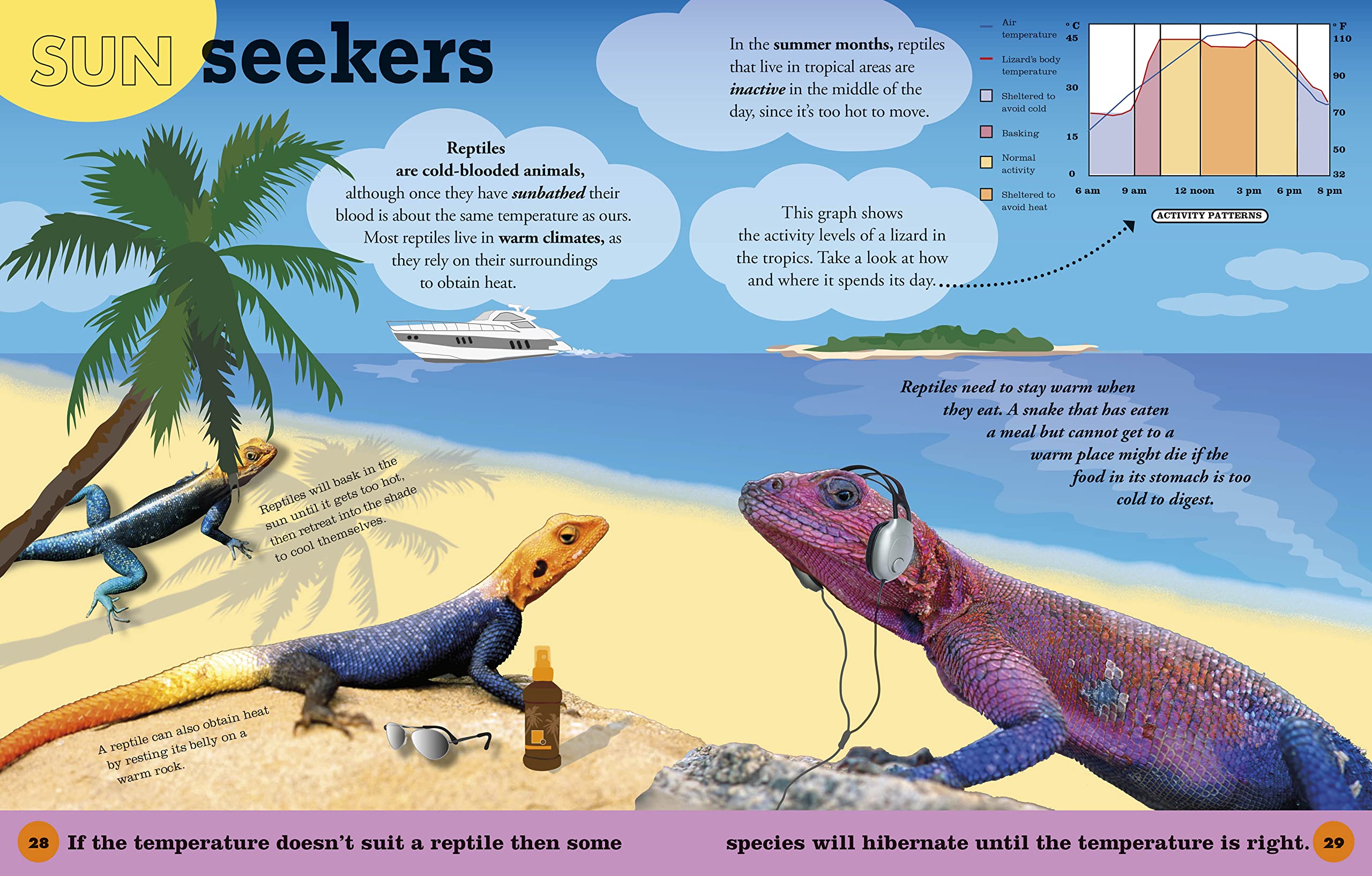 Everything You Need to Know About Frogs and Other Slippery Creatures