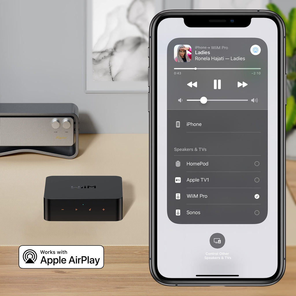WiiM Pro AirPlay 2 Receiver, Google Cast Audio, WiFi Multiroom Streamer, Compatible with Alexa, Siri and Google Assistant, Stream Hi-Res Audio from Spotify, Amazon Music, Tidal and More