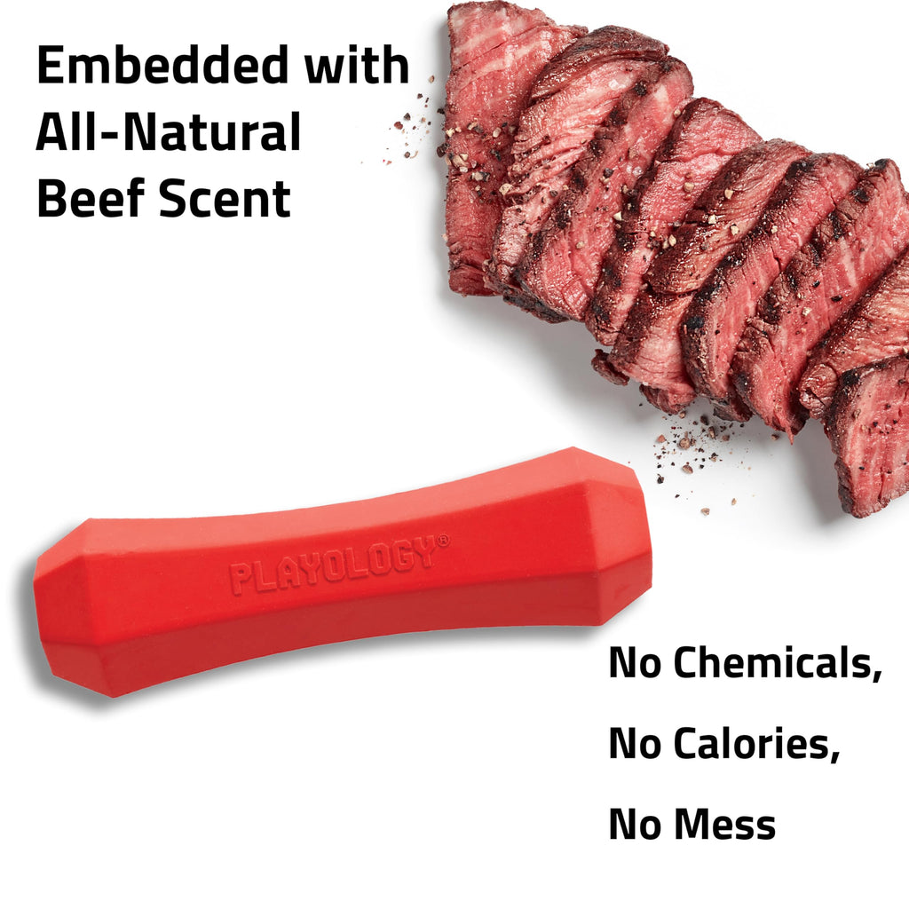 Playology Dog Toys | Squeaky Chew Stick for Large Dogs | Beef Scented Jumbo Fetch Toy | Squeaky Dog Chew Toy