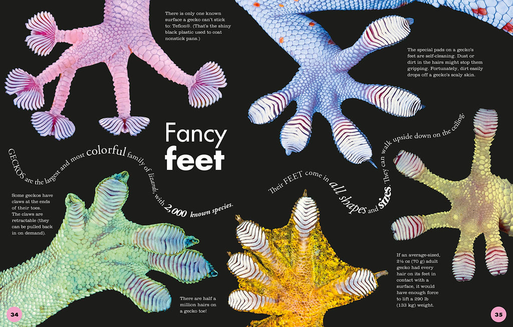 Everything You Need to Know About Frogs and Other Slippery Creatures