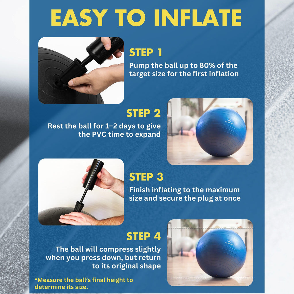 ProBody Pilates Exercise Ball - Multiple Sizes Gym Grade Balance Ball for Fitness, Workout, Pregnancy & Physical Therapy, Stability Yoga Ball Chair (Blue, 65cm)