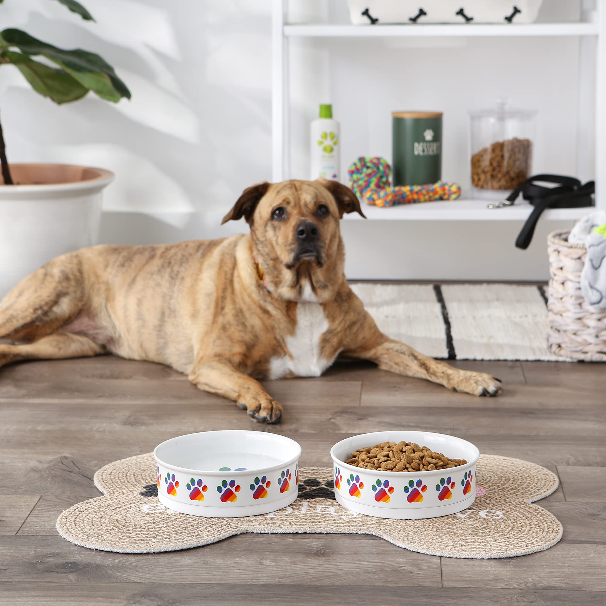 Bone Dry Ceramic Food Bowls, Non-Slip & Dishwasher Safe, Large Set, 7.5x2.4, Rainbow Paw, 2 Count