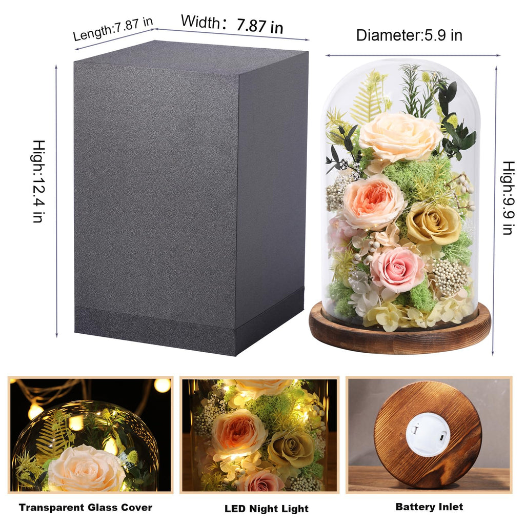 lovenfold Flowers for Delivery Preserved Flowers Rose in Glass Dome,Champagne Rose Forever Flowers Birthday Gifts for Women Mom Grandma Friend Gifts for Her,Home Decor