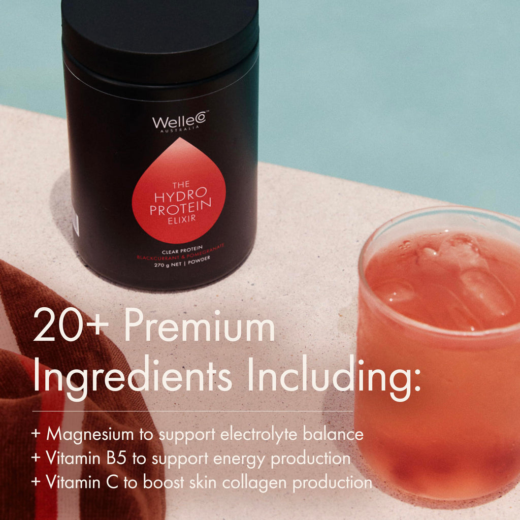 WelleCo HydroProtein Elixir, Potassium Electrolyte Powder with 15g Vegan Protein for Energy, Healthy Hair, Skin & Nails, Easy to Digest Powdered Electrolytes, Black Currant & Pomegranate, 9.5oz Jar