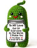 Valentines Day Gifts for Him Her Boyfriend Girlfriend, Handmade Crochet Pickle Valentines Gifts for Wife Husband, I Love You Birthday Gift To My Love Wedding Anniversary Romantic Gift for Couples