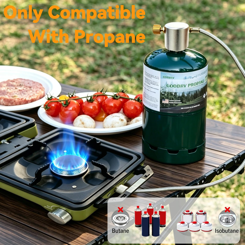 2 Burner Camping Stove with Windshield, 24000 BTU Propane Camp Stove, Portable Folding Camp Stove with Frying Pan, Coffee Stand & Carry Bag, Camping Essentials for Picnic, RV, Camp kitchen, Green