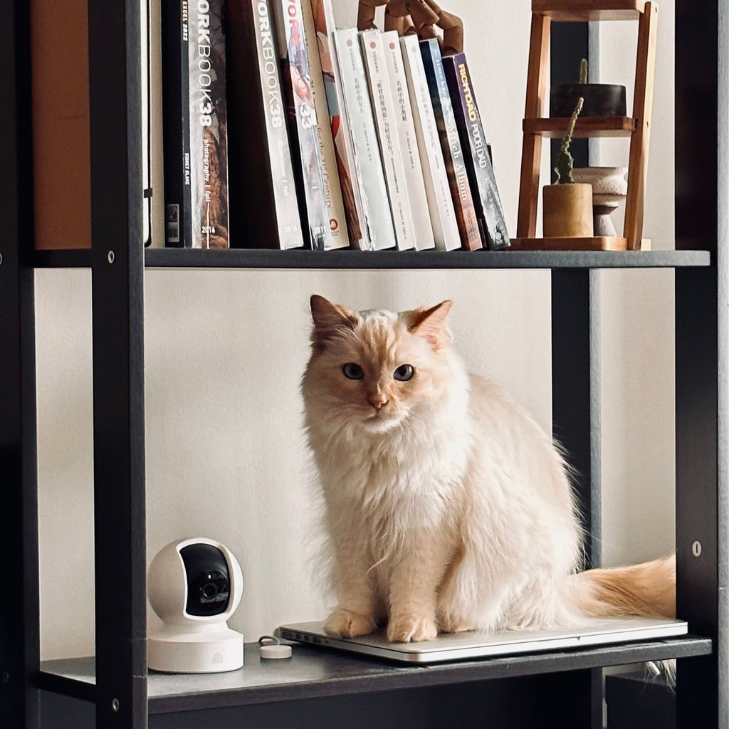 Kasa 2K+ Indoor Pan/Tilt Wired Security Camera - Works as a Baby Monitor & Pet Camera, Motion Detection & Tracking, 2-Way Audio, Night Vision, Subscription-Free Local Storage or Optional Cloud, KC410S