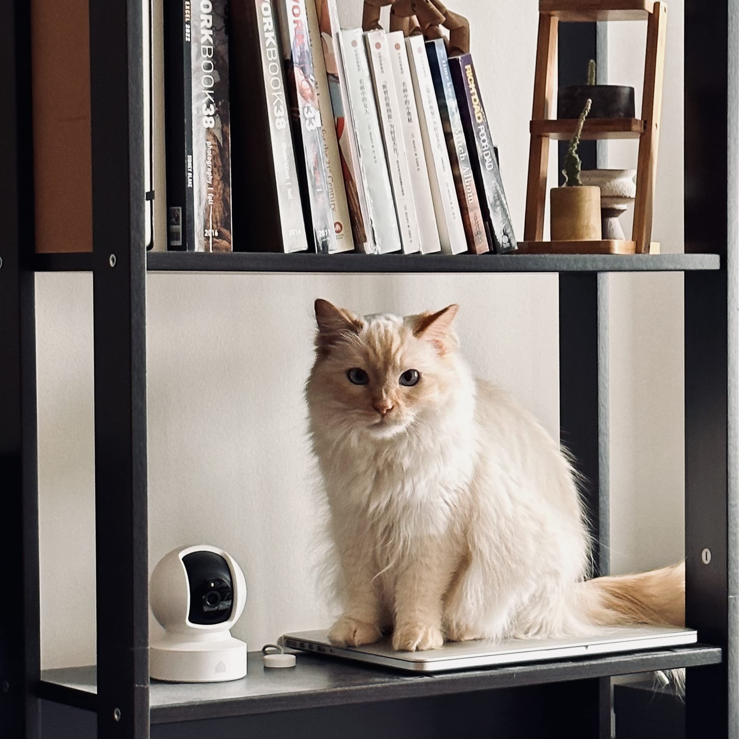 Kasa 2K+ Indoor Pan/Tilt Wired Security Camera - Works as a Baby Monitor & Pet Camera, Motion Detection & Tracking, 2-Way Audio, Night Vision, Subscription-Free Local Storage or Optional Cloud, KC410S