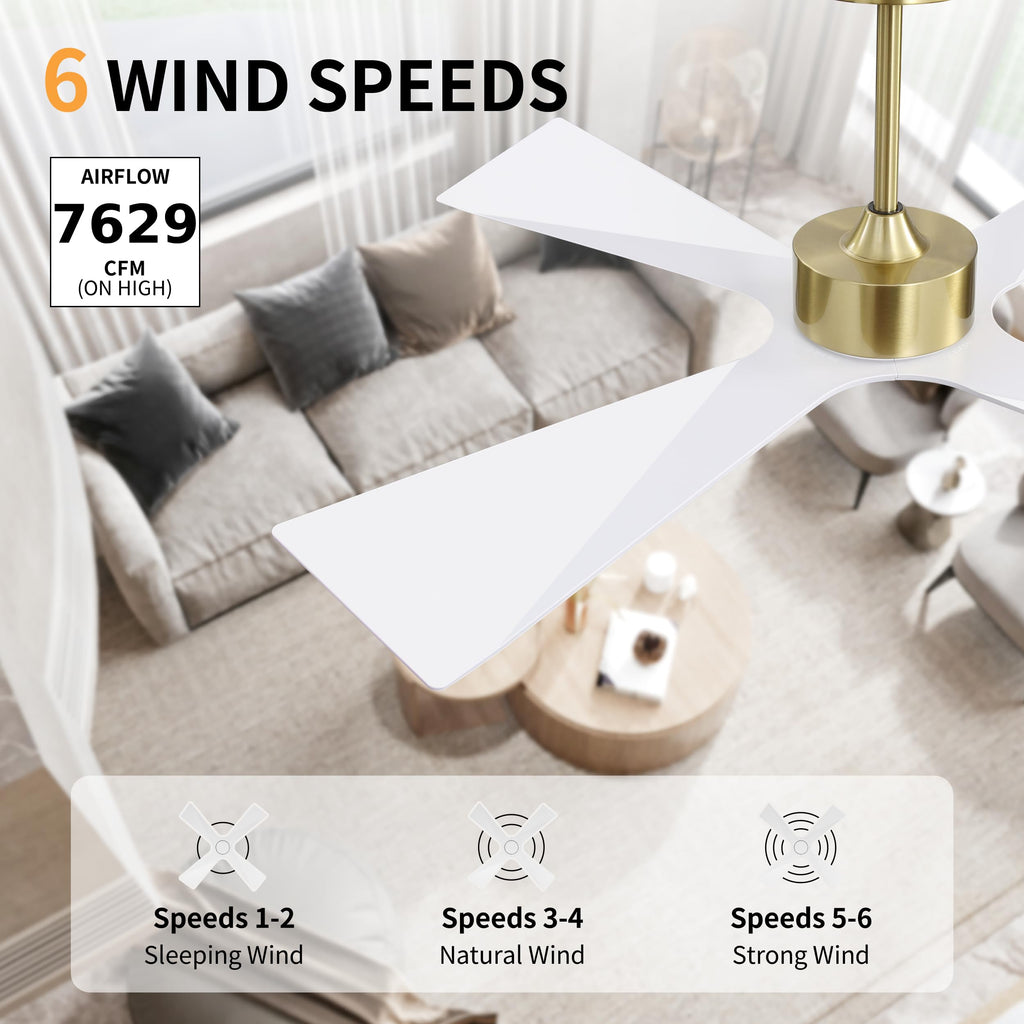 WINGBO 64" Wet Rated Outdoor Ceiling Fan with Lights, 4 ABS Plastic Blades, Reversible DC Motor, 6-Speed Remote Control, 3 CCT, Waterproof Ceiling Fan for Patio Porch Gazebo Garage, Gloss White