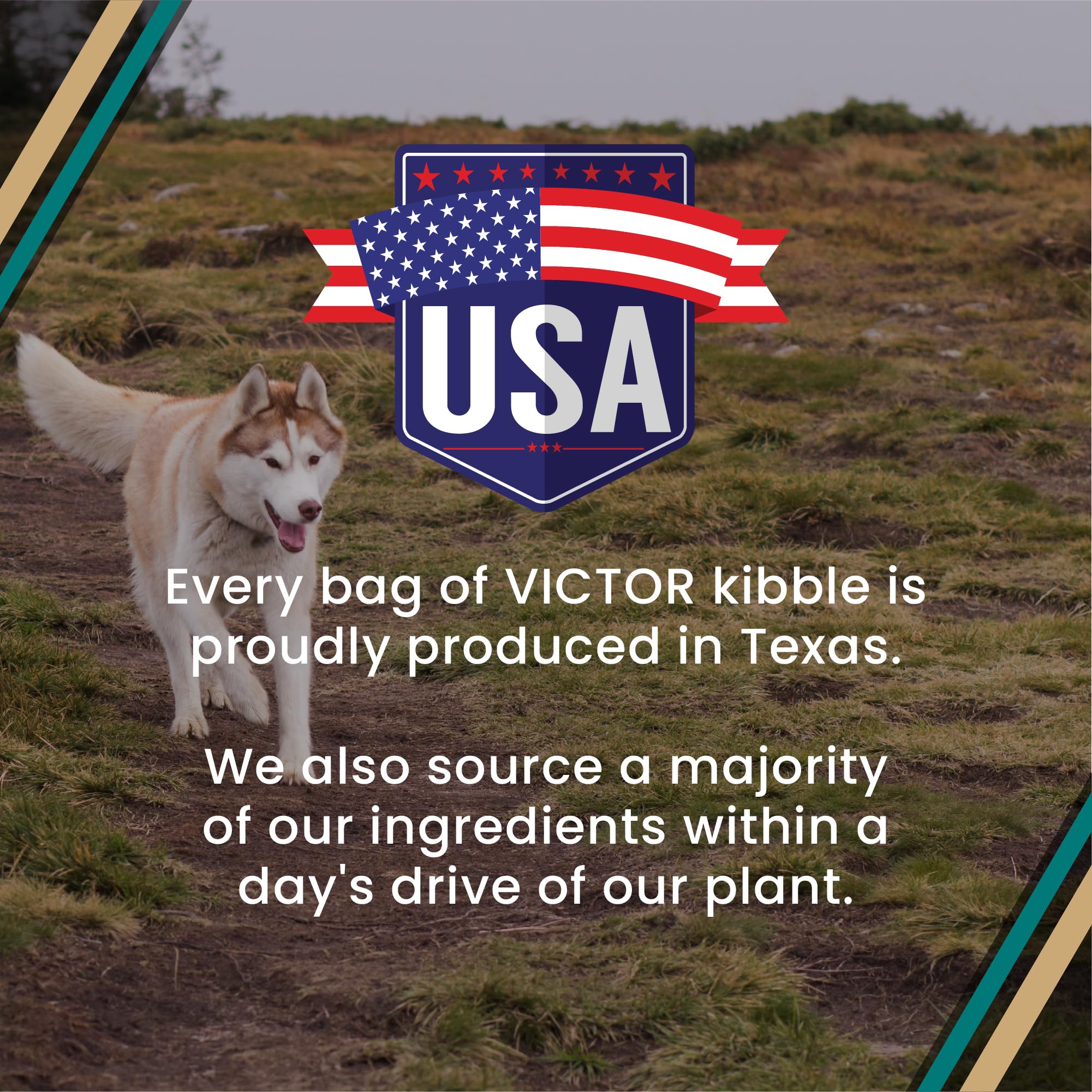 VICTOR Super Premium Dog Food – Hi-Pro Plus Dry Kibble – High Protein Dog Food with 30% Protein – Beef, Chicken, Pork, Fish Meals, Gluten Free - for High Energy and Active Dogs & Puppies, 50lbs