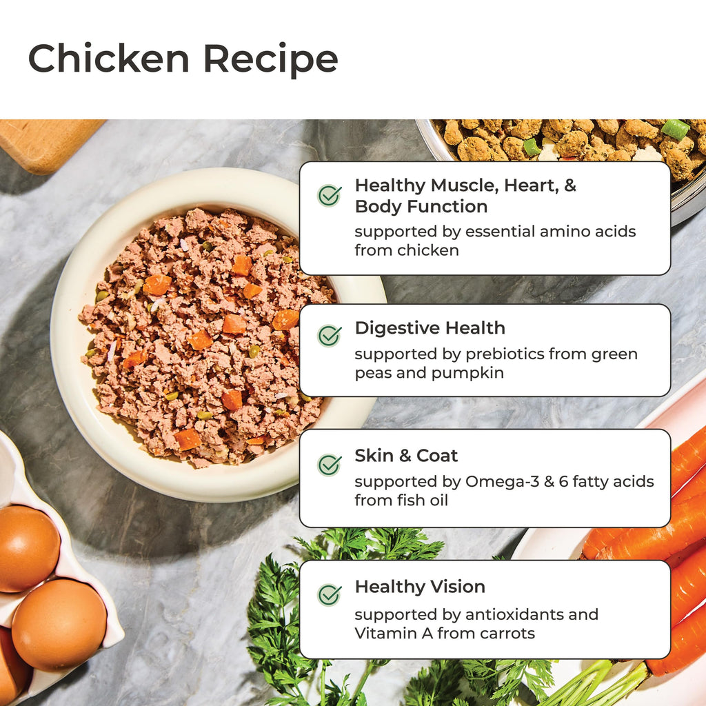 Freshpet Beef, Chicken & Turkey Homestyle Creations Dog Food, 16 OZ