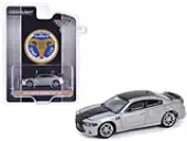 2018 Dodge Charger SRT 392 Silver Metallic with Black Stripe ""Mr. Norm Heritage GSS Charger"" ""Hobby Exclusive"" Series 1/64 Diecast Model Car by Green