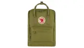 Fjällräven Kånken Foliage Green Unisex - Backpacks and Bags Fjällräven - Green - F23510-631-One-size - Size: One size
