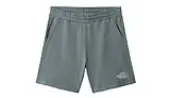 The North Face M Coordinates Shorts Men - Shorts The North Face - Blue - NF0A7R58A9L-S - Size: S