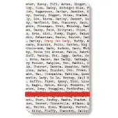 Crazy Cat Lady Typewriter Notepad