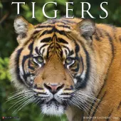 Tigers 2026 Wall Calendar