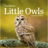 Audubon Little Owls 2026 Mini Wall Calendar