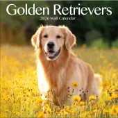 Golden Retrievers Photo 2026 Wall Calendar