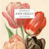 World of John Derian 2026 Wall Calendar