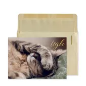 Charming Feline Get Well Greeting Card with Foil Accents