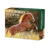 What Horses Teach Us 2026 Desk Calendar