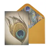 Peacock Feather Greeting Card