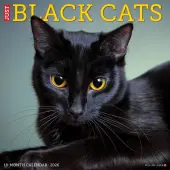 Black Cats 2026 Wall Calendar