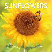Sunflowers 2026 Wall Calendar