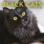 Black Cats 2026 Wall Calendar