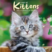Love of Kittens 2026 Mini Wall Calendar