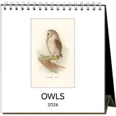 Owls 2026 Easel Desk Calendar