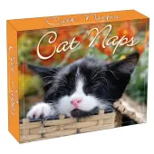 Cat Naps 2026 Desk Calendar