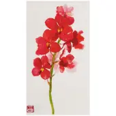 Exotic Orchids Guest Napkins