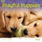 Playful Puppies 2025 Mini Wall Calendar