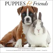 Puppies and Friends 2025 Wall Calendar