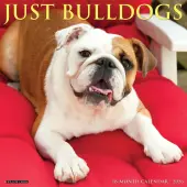 Just Bulldogs 2026 Wall Calendar