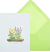 Thank You Plants Under Cloche Boxed Notes