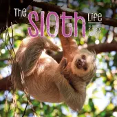 Sloth Life 2025 Wall Calendar