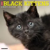 Black Kitties 2025 Wall Calendar