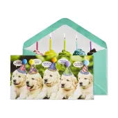 Charming Canine Celebration Puppies Birthday Card