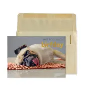 Pug on Rug Birthday Card