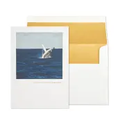 Breeching Whale Birthday Card