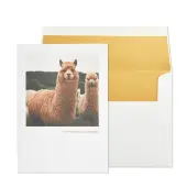 Llama Birthday Card